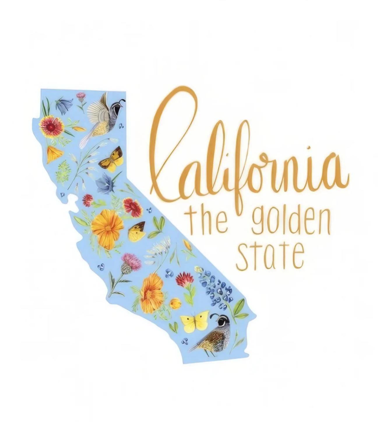 Riley Blake - Golden Poppies - California Panel - PD11805-WHITE - Fabric Panel