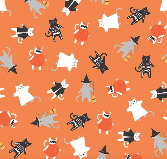 Riley Blake - Hey Bootiful - Orange Cats - Halloween fabric by the half yard