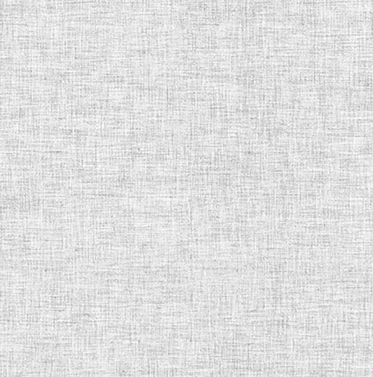 Clothworks - A Day in the Park - Linen Texture - Mist Gray - Y3880-116 - Fabric by the half yard
