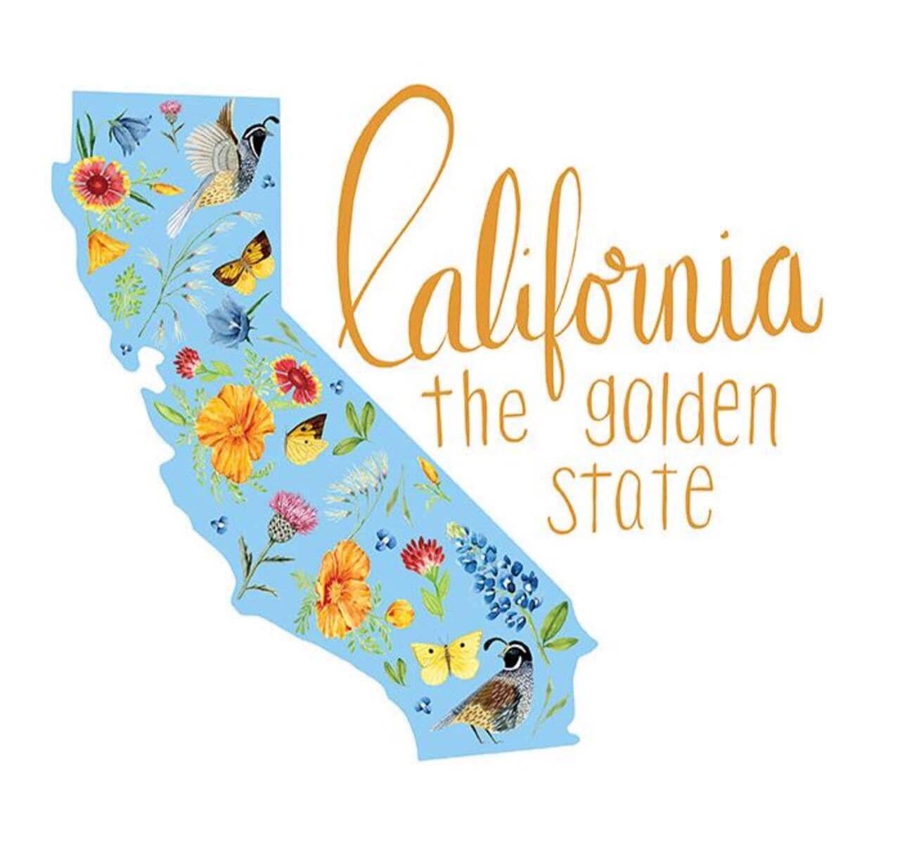 Riley Blake - Golden Poppies - California Panel - PD11805-WHITE - Fabric Panel
